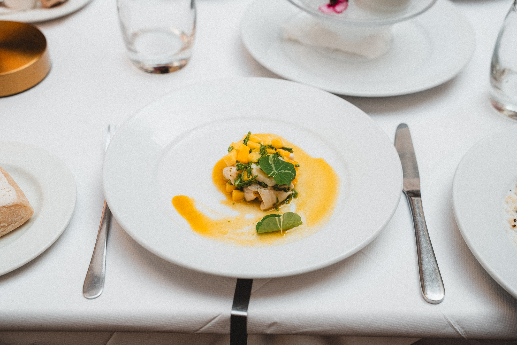 Scallop ceviche, passion fruit, mango, samphire, yuzu kosho